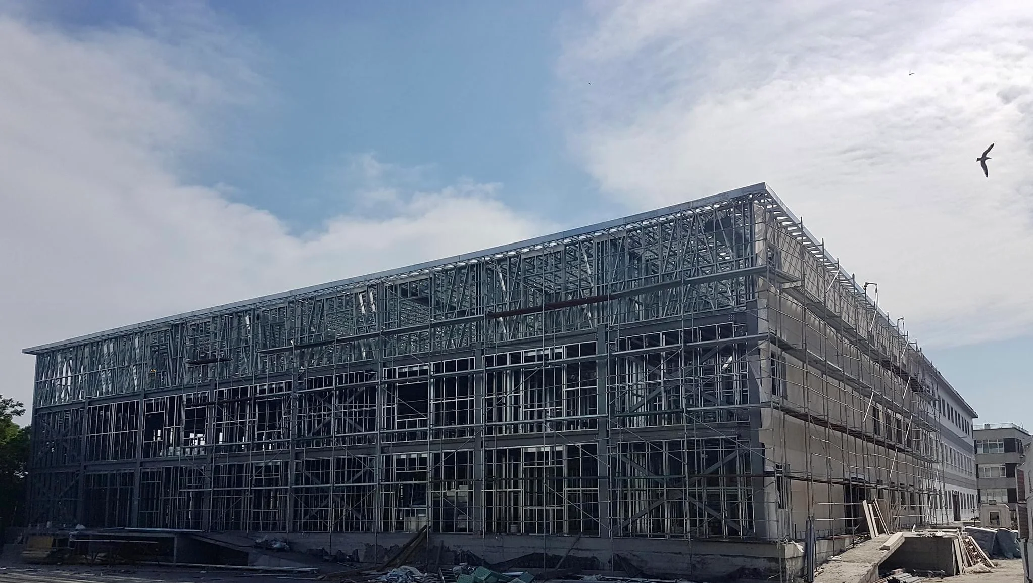 مرجع lsf ال اس اف ایران